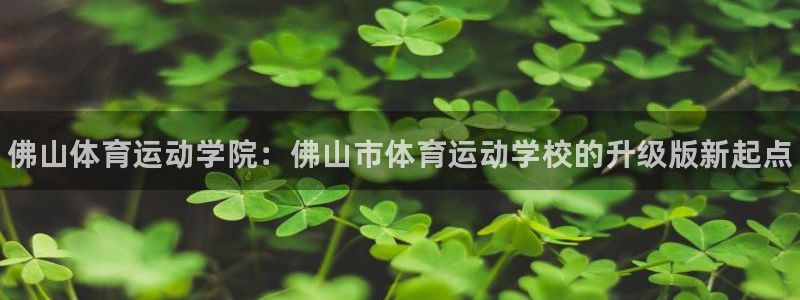 JJB竞技宝官网下载招商：佛山体育运动学院：佛山市体育运动学