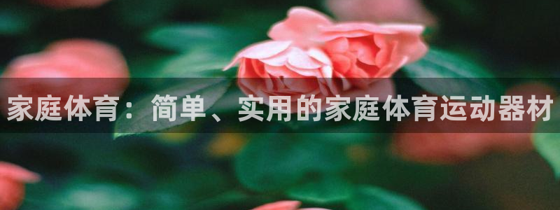 JJB竞技宝官方正版app集团官网首页：家庭体育：简