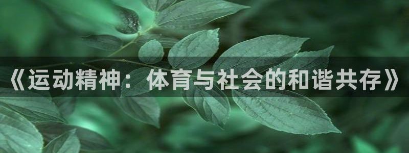 JJB竞技宝官方正版app集团官网首页网址：《运动精