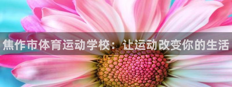 JJB竞技宝官方正版app科技：焦作市体育运动学校：让运动改