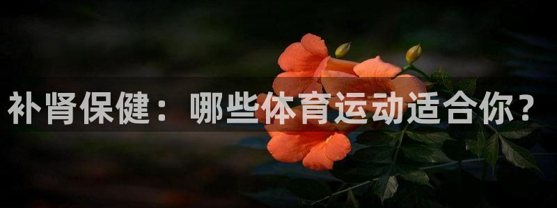 JJB竞技宝官方正版app神州：补肾保健：哪些体育运