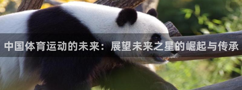JJB竞技宝官网下载平台注册要钱吗安全吗：中国体育运动的未来