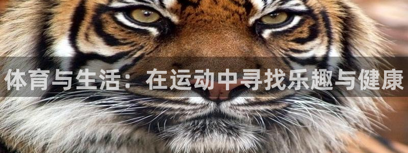 JJB竞技宝官方正版app娱乐代理怎么样：体育与生活：在运动