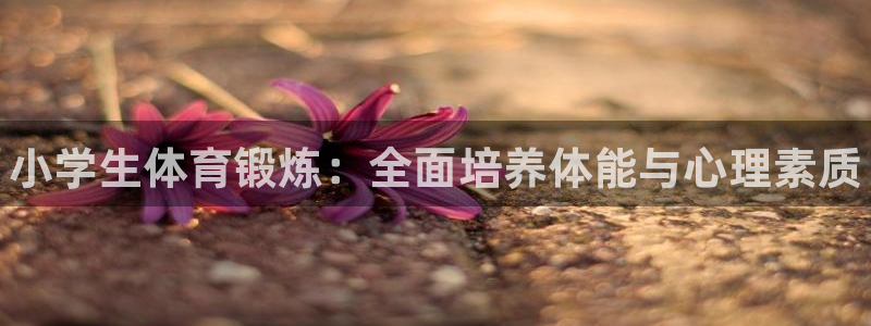 JJB竞技宝官网下载平台假的吗是真的吗吗：小学生体育锻炼：全