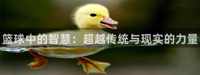 JJB竞技宝官网下载招商电话地址是多少：篮球中的智慧：超越传