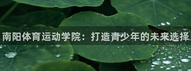 JJB竞技宝官方正版app新能源：南阳体育运动学院：打造青少