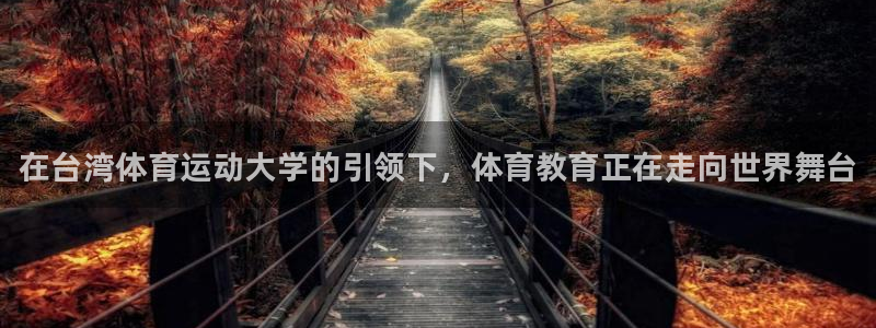 JJB竞技宝官网下载平台是正规平台吗安全吗：在台湾体育运动大