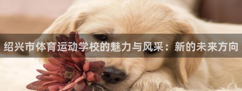 JJB竞技宝官网下载娱乐：绍兴市体育运动学校的魅力与