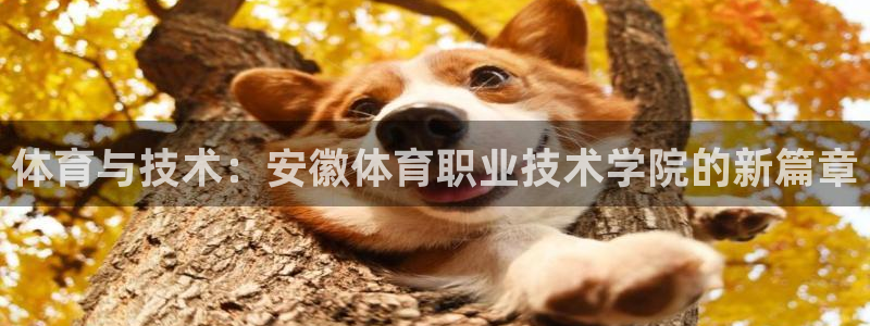 JJB竞技宝官网下载软件：体育与技术：安徽体育职业技术学院的