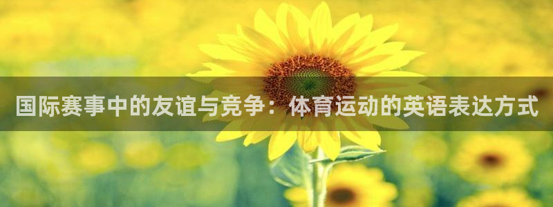 JJB竞技宝官网下载招商电话地址查询：国际赛事中的友