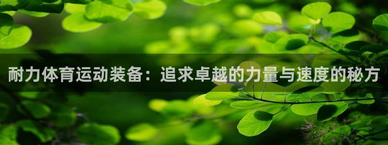 JJB竞技宝官方正版app集团logo：耐力体育运动装备：追