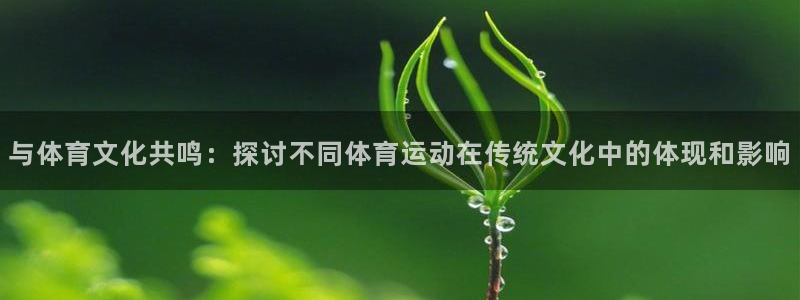 JJB竞技宝官网下载招商电话：与体育文化共鸣：探讨不同体育运