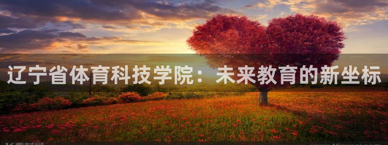 JJB竞技宝官方正版app娱乐：辽宁省体育科技学院：未来教育