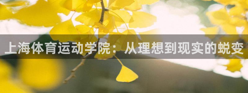 JJB竞技宝官网下载招商电话：上海体育运动学院：从理