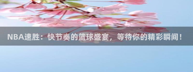 蓝鲸直播下载安装：NBA速胜：快节奏的篮球盛宴，等待你的精彩瞬间！