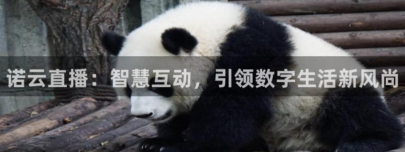 蓝鲸体育免费观看比赛：诺云直播：智慧互动，引领数字生活新风尚