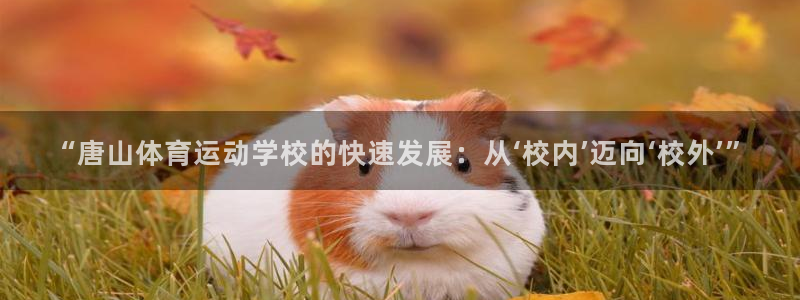 JJB竞技宝官方正版app娱乐平台：“唐山体育运动学校的快速