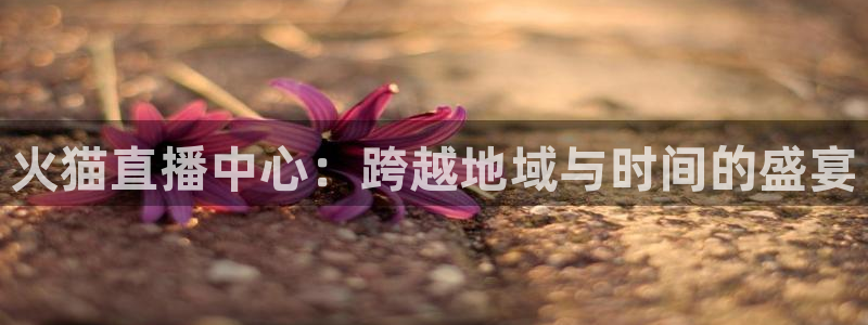 蓝鲸lanjing同直播：火猫直播中心：跨越地域与时间的盛宴