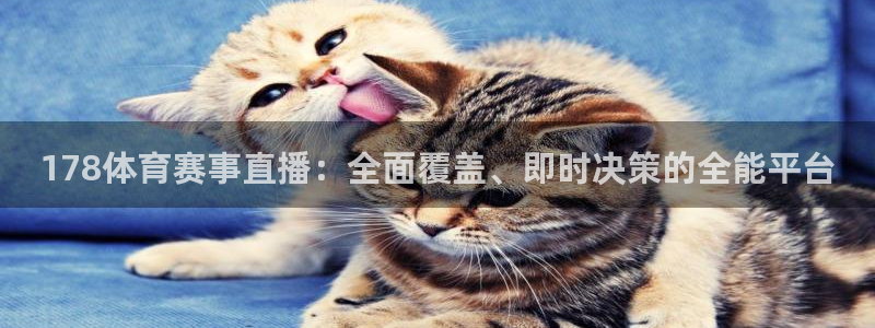 蓝鲸直播官网：178体育赛事直播：全面覆盖、即时决策的全能平台