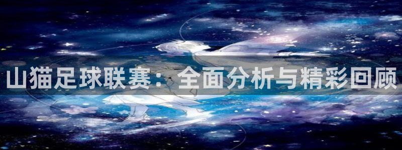 蓝鲸体育免费观看：山猫足球联赛：全面分析与精彩回顾